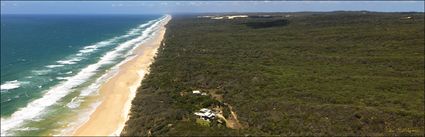 Fraser Island - QLD (PBH4 00 16227)